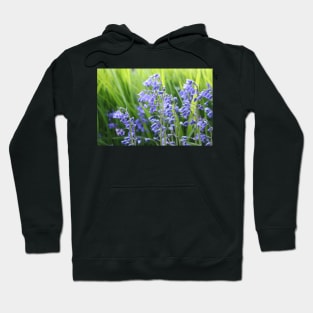 Bluebells Hoodie